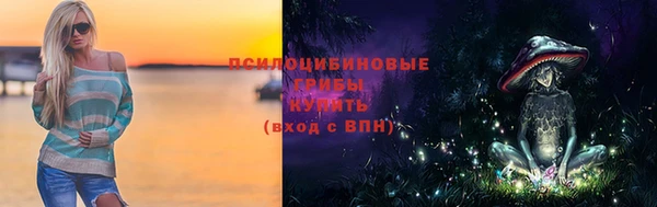 дурь Балахна
