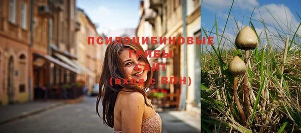 дурь Балахна