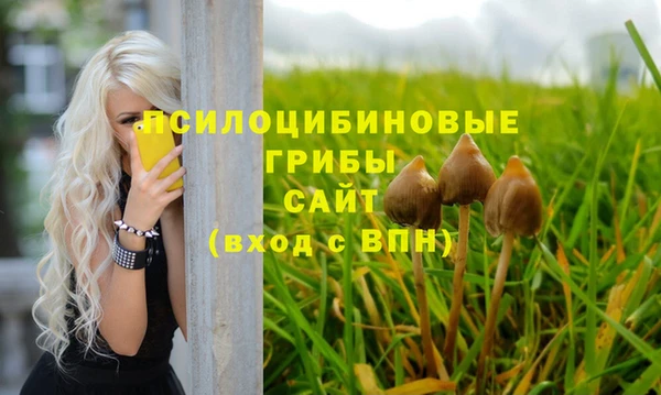 spice Балабаново