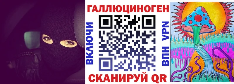 как найти наркотики  Озёры  Псилоцибиновые грибы Psilocybe 
